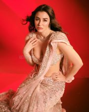 Hot Giorgia Andriani in a Light Pink Gold Sequin Saree with a Deep Cut Bralette Blouse Photos 05 Hot Giorgia Andriani in a Light Pink Gold Sequin Saree with a Deep Cut Bralette Blouse Photos 05