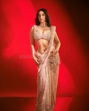 Hot Giorgia Andriani in a Light Pink Gold Sequin Saree with a Deep Cut Bralette Blouse Photos 07 Hot Giorgia Andriani in a Light Pink Gold Sequin Saree with a Deep Cut Bralette Blouse Photos 07