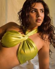 Actress Aishwarya Sharma Sexy Photoshoot Pictures 01