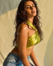 Actress Aishwarya Sharma Sexy Photoshoot Pictures 02