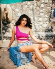 Actress and Model Aishwarya Sharma Sexy Photos 10