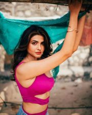 Actress and Model Aishwarya Sharma Sexy Photos 13
