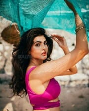 Actress and Model Aishwarya Sharma Sexy Photos 14