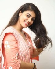Aqsa Khan at Chalo Premiddam Movie Success Meet Pictures 04