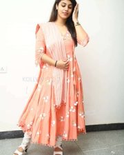 Aqsa Khan at Chalo Premiddam Movie Success Meet Pictures 11
