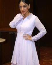 Actress Deviyani Sharma at Save The Tigers Pre Release Event Photos 16