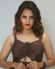Actress Divya Dekate at Valentines Night Movie Press Meet Stills 06