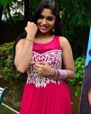 Actress Priyanka At Vandha Mala Press Meet Pictures 01