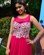 Actress Priyanka At Vandha Mala Press Meet Pictures 11