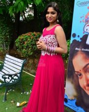 Actress Priyanka At Vandha Mala Press Meet Pictures 13