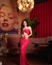 Captivating Actress Donal Bisht in a Red bandeau crop top and midi skirt Photos 06