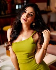 Glamorous Actress Donal Bisht in a Olive Green Feathered Mini Dress Photos 02