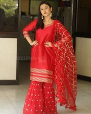 Heroine Megha Chowdhury Interview Photos 32