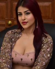 Hot Edin Rose at Ravanasura Movie Pre Release Event Photos 13