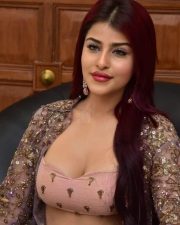 Hot Edin Rose at Ravanasura Movie Pre Release Event Photos 14