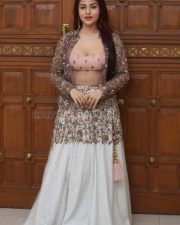 Hot Edin Rose at Ravanasura Movie Pre Release Event Photos 16