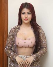 Hot Edin Rose at Ravanasura Movie Pre Release Event Photos 20