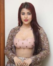 Hot Edin Rose at Ravanasura Movie Pre Release Event Photos 21
