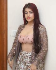 Hot Edin Rose at Ravanasura Movie Pre Release Event Photos 22