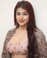 Hot Edin Rose at Ravanasura Movie Pre Release Event Photos 25