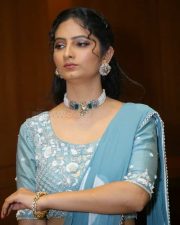 Jordaar Sujatha at Save The Tigers Pre Release Event Pictures 02