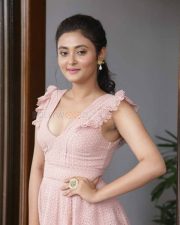 Varma Movie Heroine Megha Pictures 01