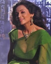 Actress Asha Saini Spicy Hot Saree Cleavage Pictures 08