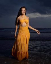 Beachside Glam Tejasswi Prakash in a Yellow Halter Maxi Dress Photos 01
