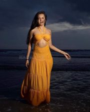Beachside Glam Tejasswi Prakash in a Yellow Halter Maxi Dress Photos 01