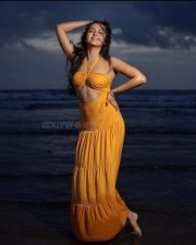 Beachside Glam Tejasswi Prakash in a Yellow Halter Maxi Dress Photos 03