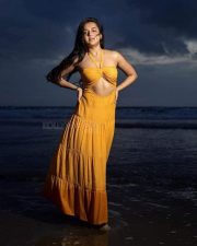 Beachside Glam Tejasswi Prakash in a Yellow Halter Maxi Dress Photos 04