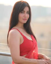 Desirable Amy Aela in a Red Sleeveless Blouse with a Red Saree Pictures 01