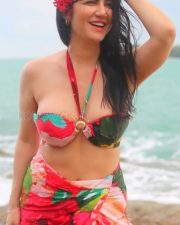 Hot Actress and Model Amy Aela in a Multi Colored Floral Printed Bikini Photos 03