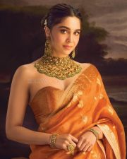 Photogenic Sharvari Wagh in an Orange Saree with a Strapless Blouse Photos 02