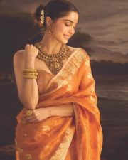 Photogenic Sharvari Wagh in an Orange Saree with a Strapless Blouse Photos 03