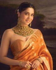 Photogenic Sharvari Wagh in an Orange Saree with a Strapless Blouse Photos 04