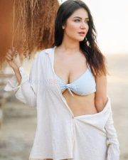 Sensuous Amy Aela Hot Bikini Photos 03