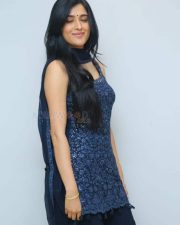 Heroine Geethika Tiwary at Ahimsa Press Meet Pictures 04
