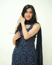 Heroine Geethika Tiwary at Ahimsa Press Meet Pictures 19