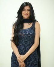Heroine Geethika Tiwary at Ahimsa Press Meet Pictures 20