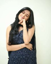 Heroine Geethika Tiwary at Ahimsa Press Meet Pictures 21