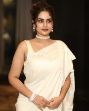 Actress Ayesha Khan at Manamey Pre Release Event Pictures 21