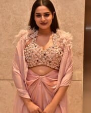 Actress Ayesha Khan at Mukhachitram Movie Pre Release Event Photos 10