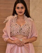 Actress Ayesha Khan at Mukhachitram Movie Pre Release Event Photos 14