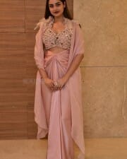 Actress Ayesha Khan at Mukhachitram Movie Pre Release Event Photos 18