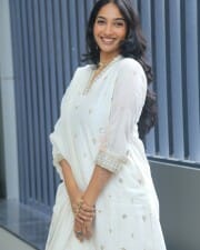 Actress Karthika Muralidharan at Aakasham Daati Vastava Press Meet Photos 17