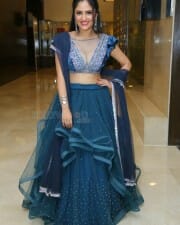 Actress Sanya Thakur at Spy Pre Release Event Pictures 18