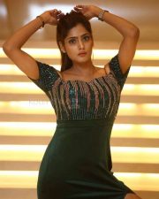 Actress Sherry Agarwal at Ram Asur Movie Pre Release Event Photos 14