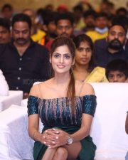 Actress Sherry Agarwal at Ram Asur Movie Pre Release Event Photos 22