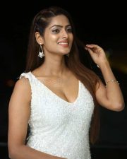 Actress Sherry Agarwal at Ram Asur Movie Success Meet Stills 16